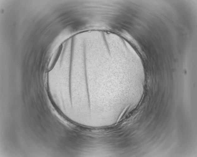 X0000059061383200511041717