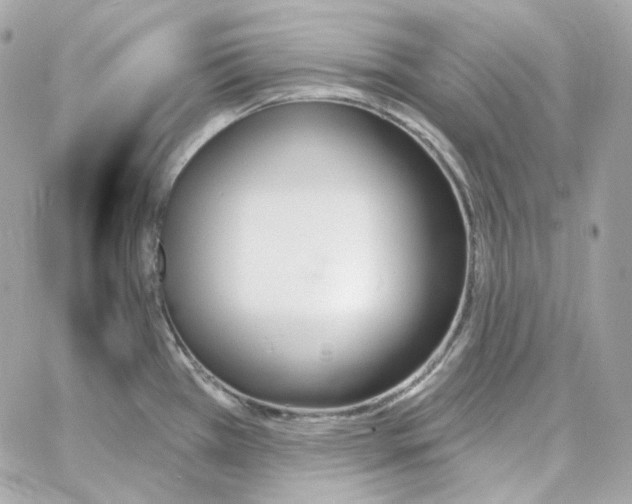 X0000059061385200511041717