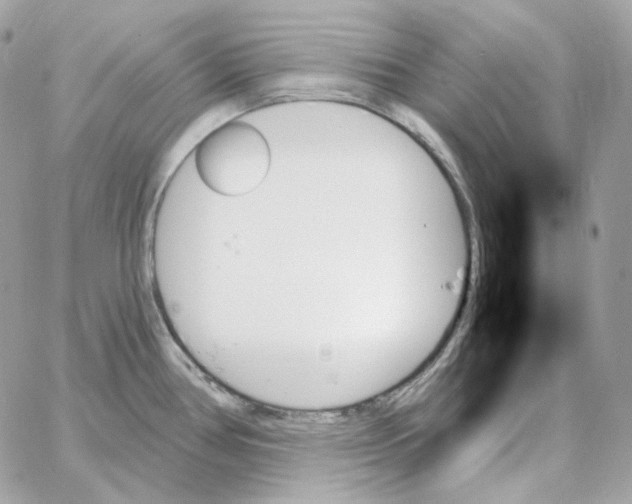 X0000059061386200511041717