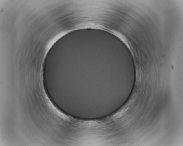 X0000059061387200511041717