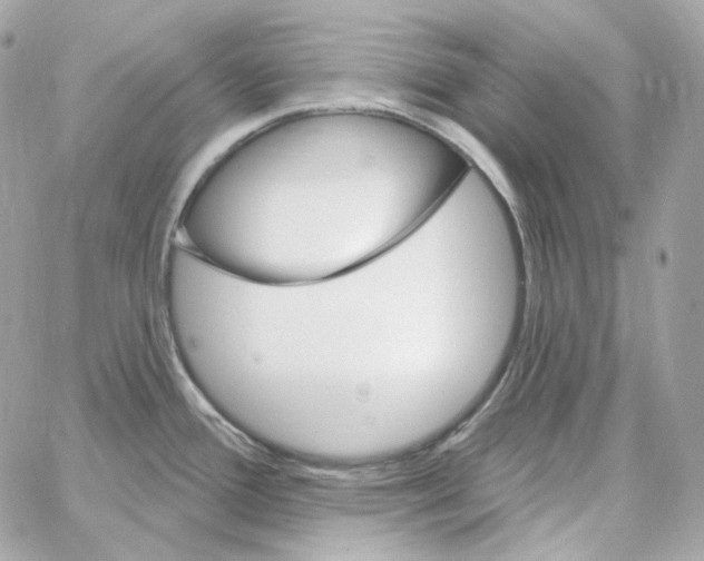 X0000059061388200511041717