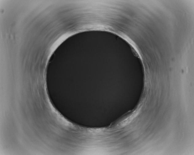 X0000059061389200511041717