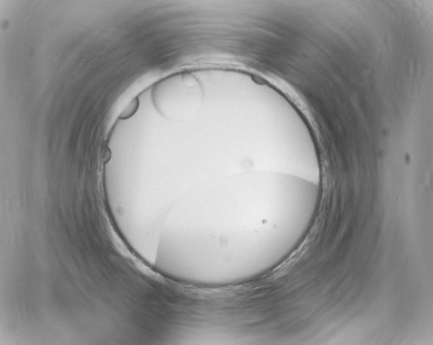 X0000059061390200511041717