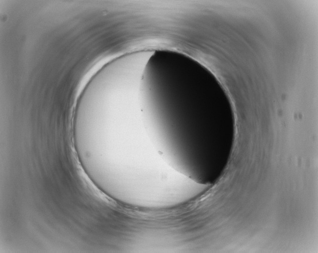 X0000059061392200511041717