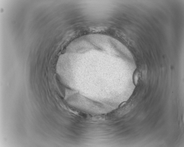 X0000059061393200511041716