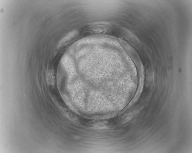 X0000059061394200511041716