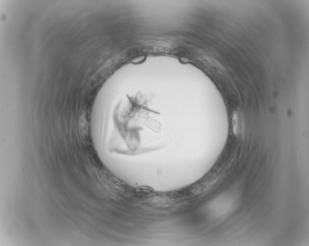 X0000059061395200511041716