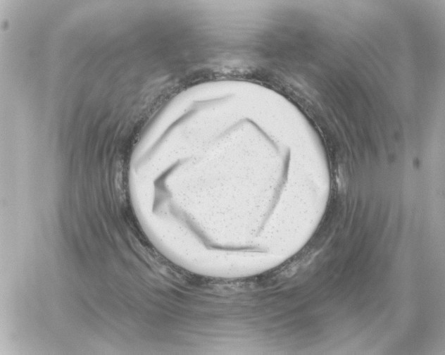 X0000059061396200511041716