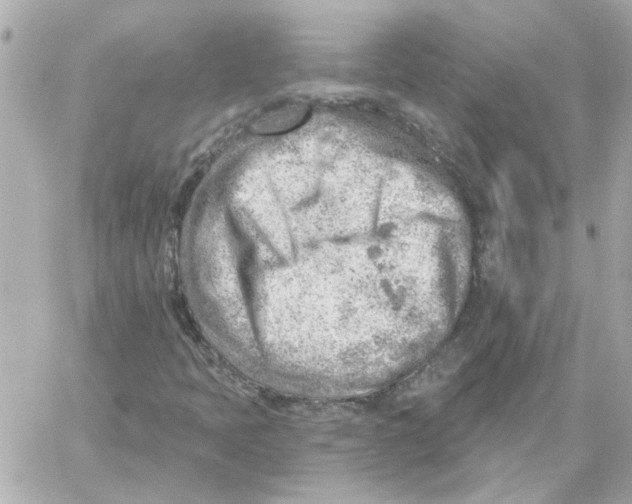 X0000059061397200511041716