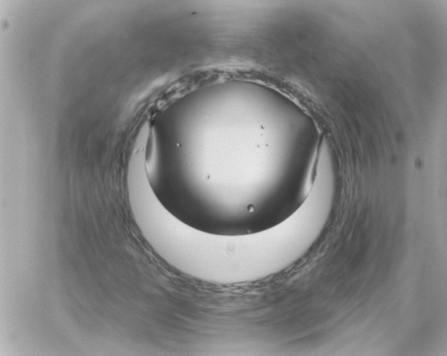 X0000059061398200511041716