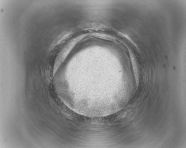 X0000059061399200511041716