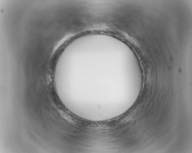 X0000059061400200511041716