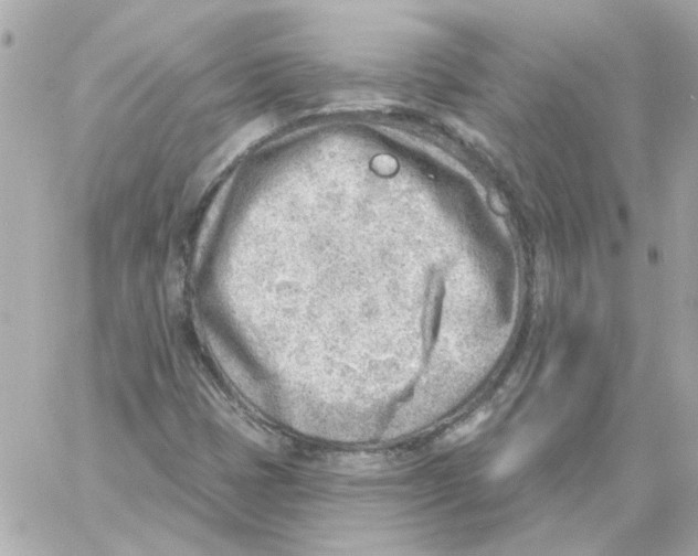 X0000059061401200511041716