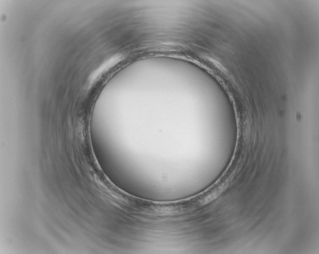 X0000059061402200511041716