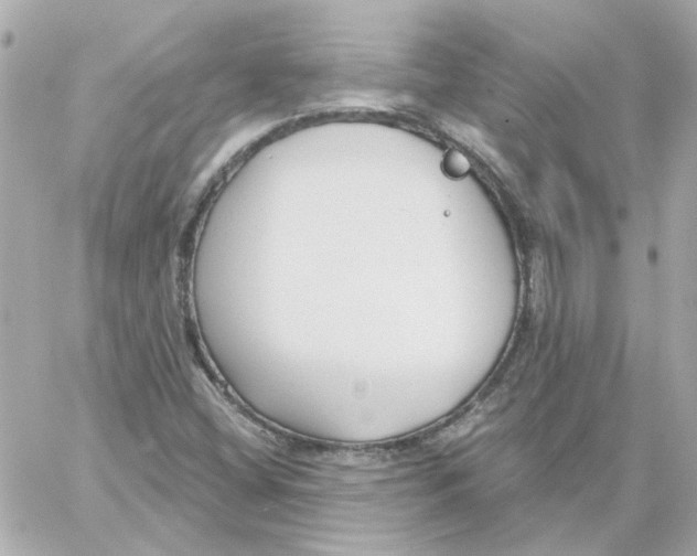 X0000059061404200511041716