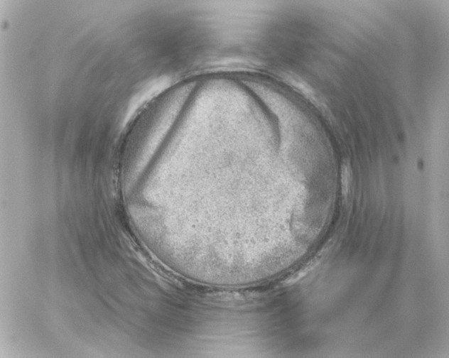 X0000059061405200511041716