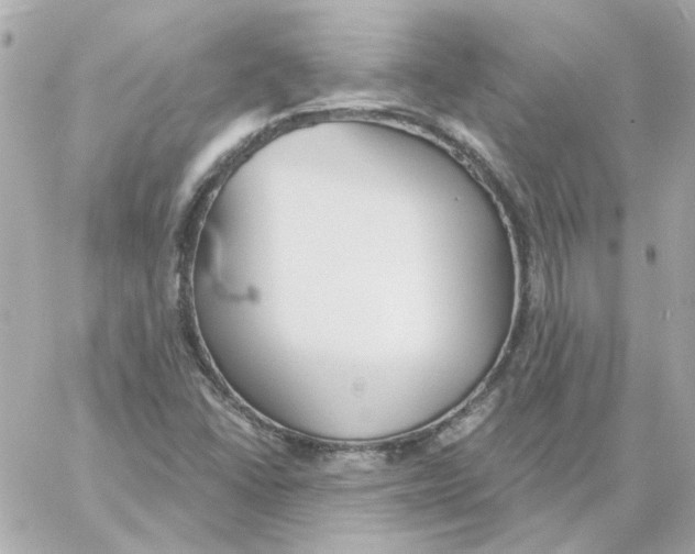 X0000059061406200511041716