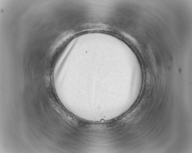 X0000059061407200511041716