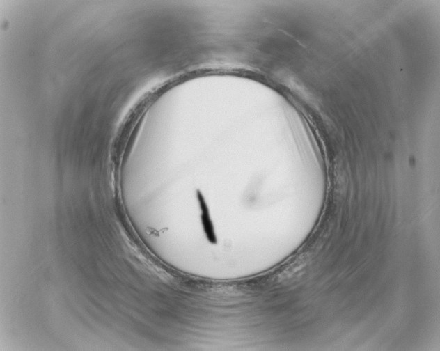 X0000059061408200511041716