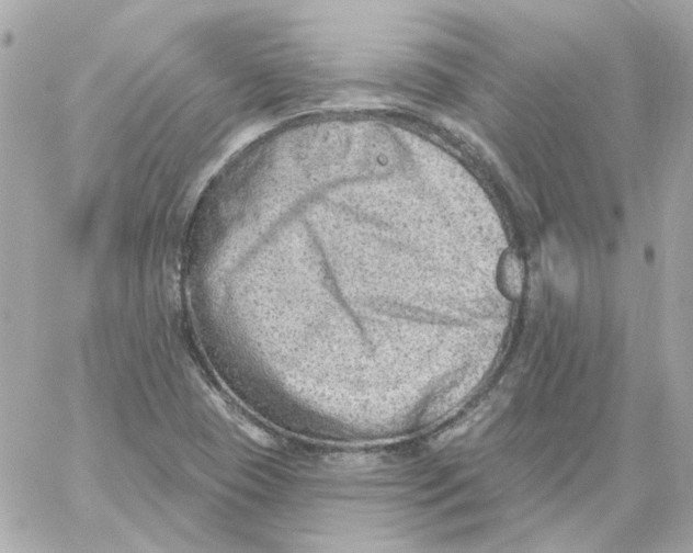 X0000059061409200511041716