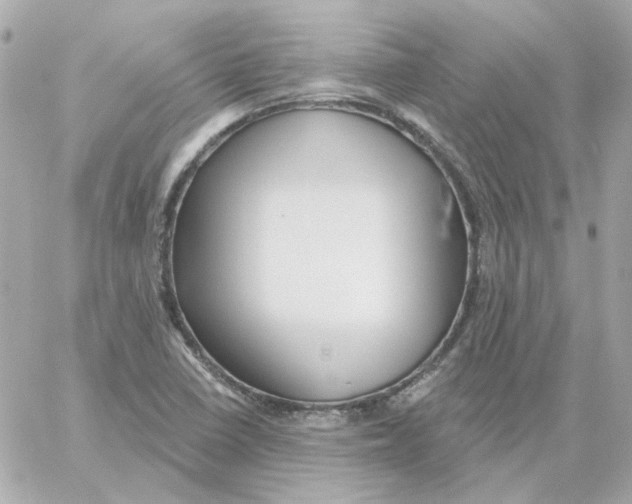 X0000059061410200511041716