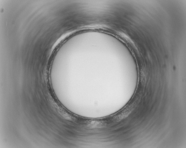 X0000059061412200511041716