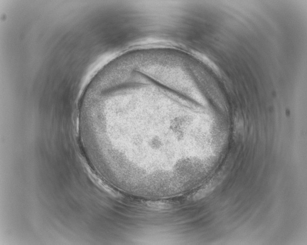 X0000059061413200511041716