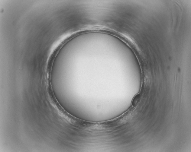 X0000059061414200511041716