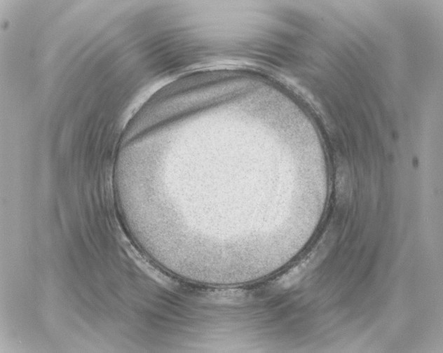 X0000059061417200511041717