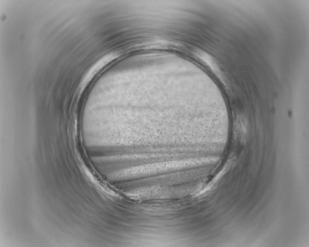 X0000059061418200511041717