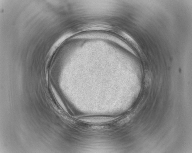 X0000059061419200511041717