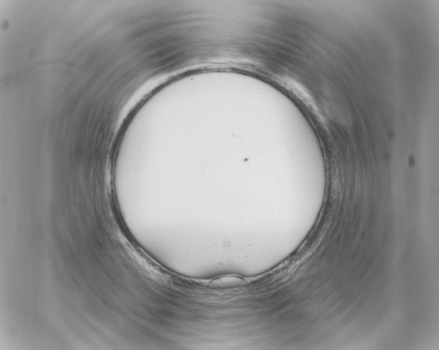 X0000059061420200511041717