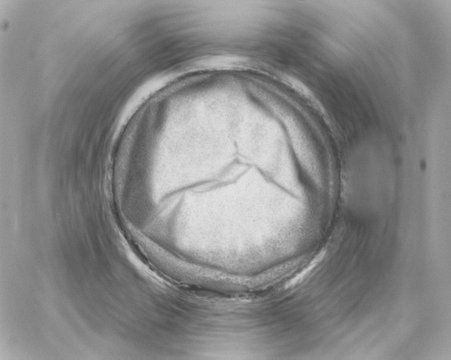 X0000059061421200511041717