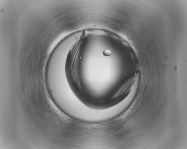 X0000059061422200511041717