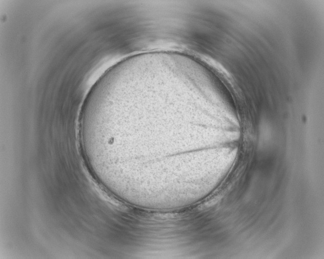 X0000059061423200511041717