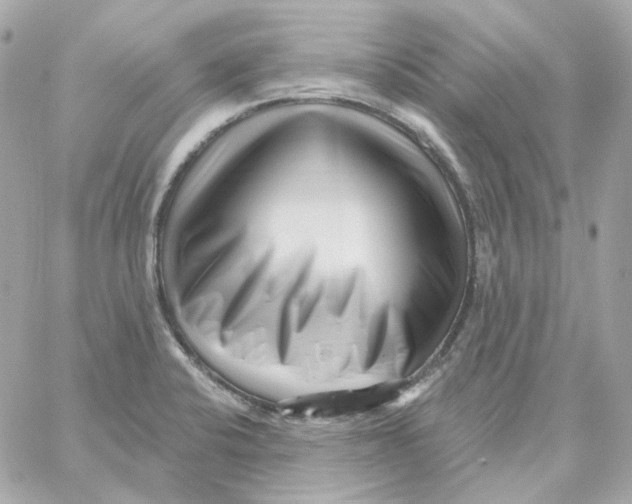 X0000059061424200511041717