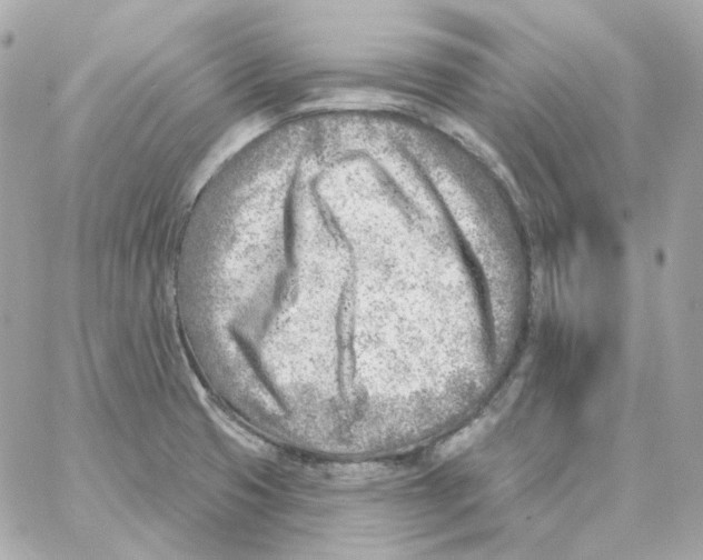 X0000059061425200511041717