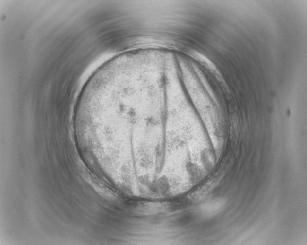 X0000059061427200511041717