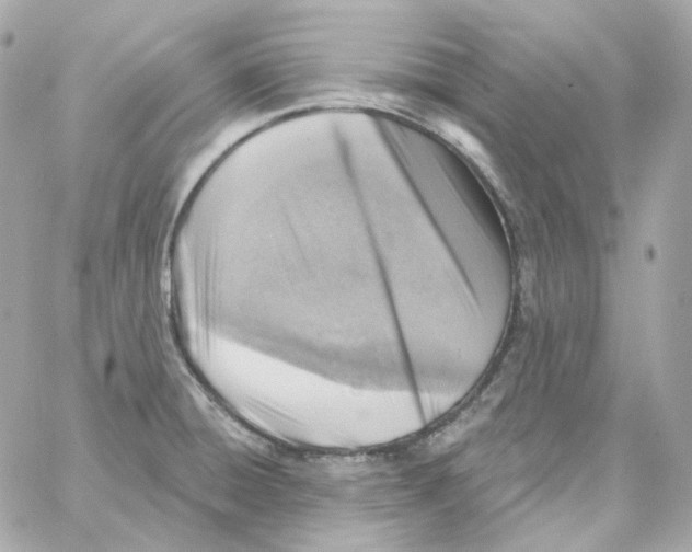 X0000059061428200511041717