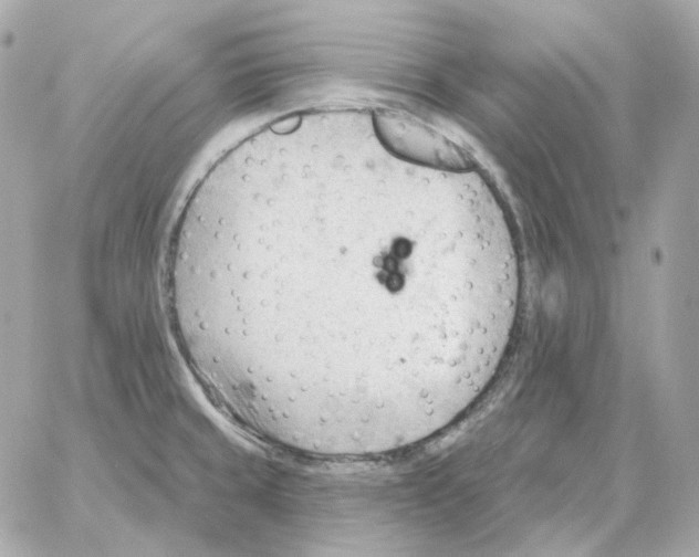 X0000059061429200511041717