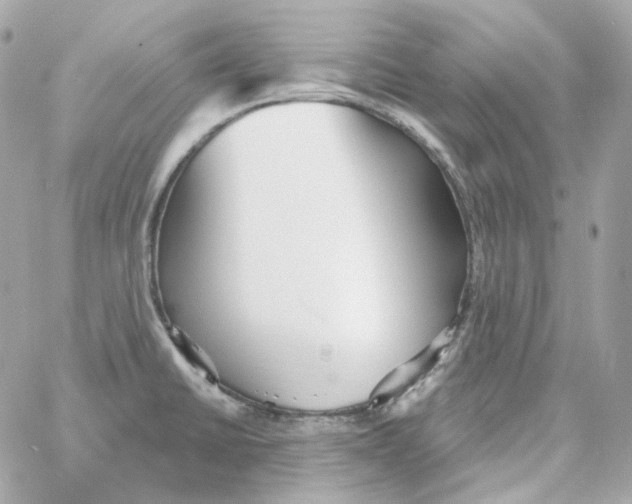 X0000059061430200511041717