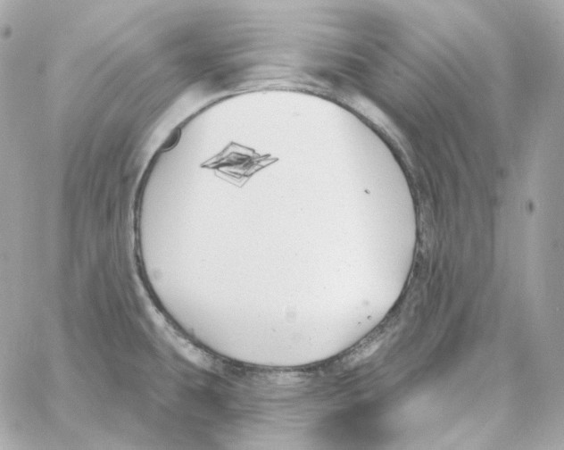 X0000059061431200511041717