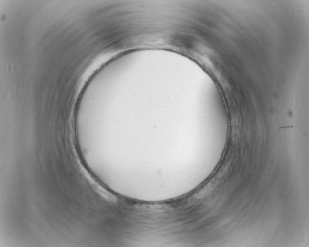 X0000059061432200511041717