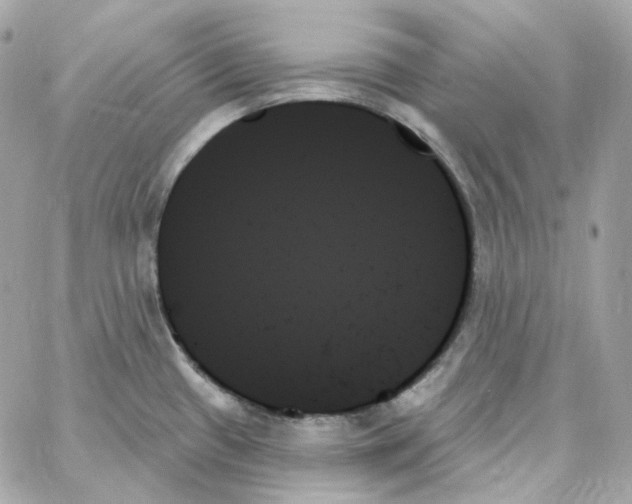 X0000059061433200511041717