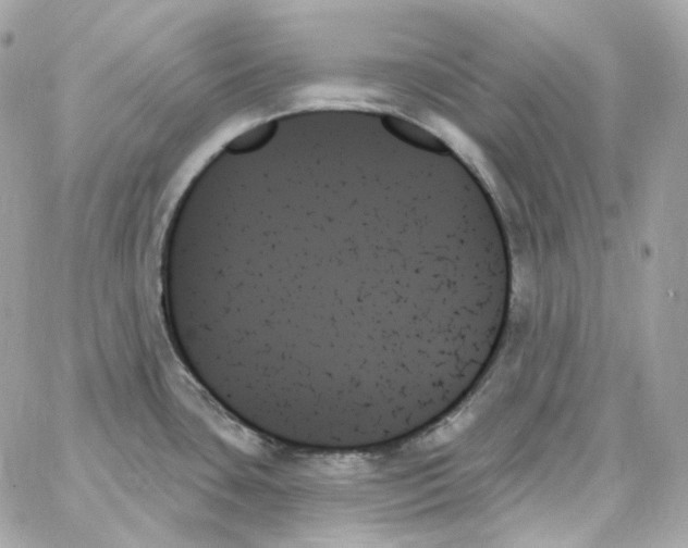 X0000059061435200511041717