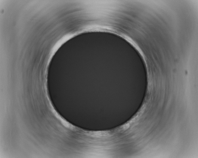 X0000059061437200511041717