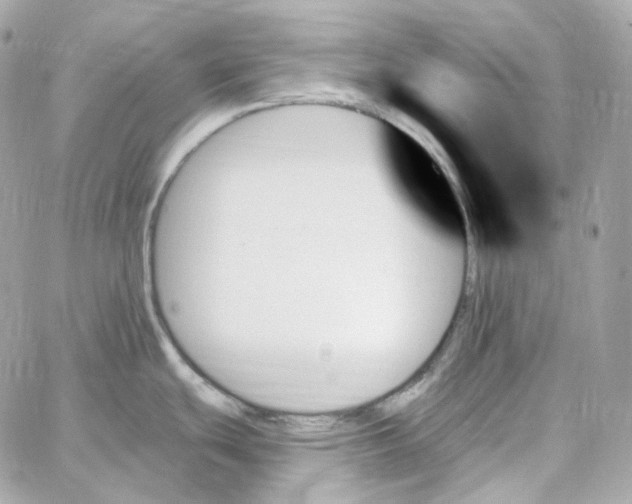 X0000059061439200511041717