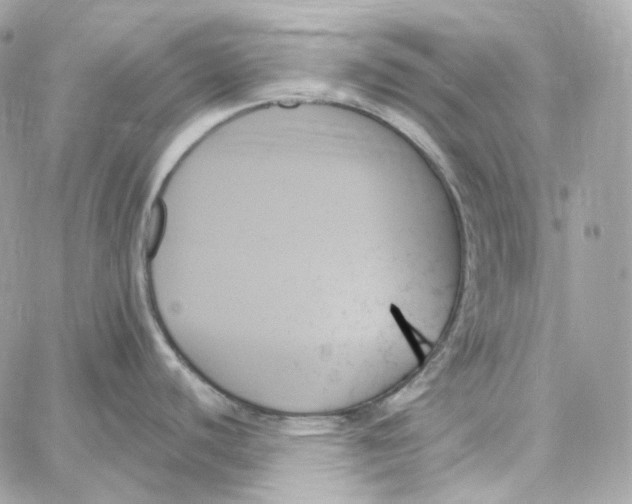 X0000059061440200511041717