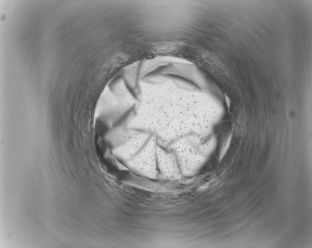 X0000059061441200511041716