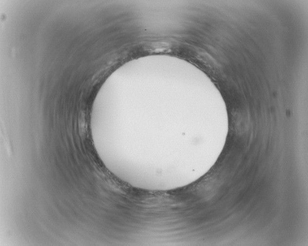 X0000059061442200511041716